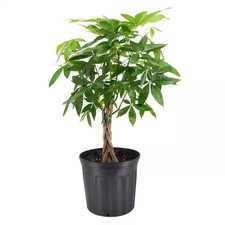 large garden pot fountain for sale large garden pot fountain for sale Hialeah