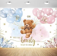 10x8ft gender reveal for sale  Providence