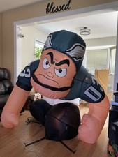 Nfl philadelphia eagles for sale  Swarthmore