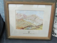 Hrh prince wales for sale  BRISTOL