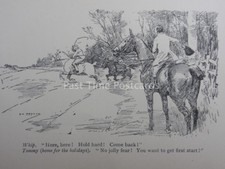 Hunt fox hounds for sale  UK