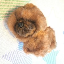 Chow chow peluche usato  Spedire a Italy