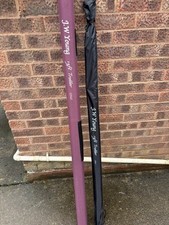 Young 13ft trotter for sale  REDDITCH
