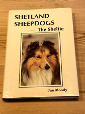 Rare shetland sheepdog for sale  WARRINGTON