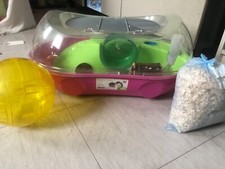 New dwarf hamster for sale  LONDON