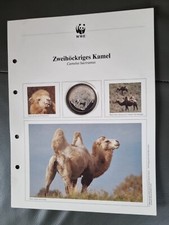 Jahre wwf mandarinente gebraucht kaufen  Grasberg