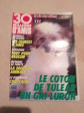 Coton tulear gai d'occasion  Joinville