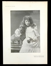 Foto de menina com cachorro Love Me Love My Dog impressão em meio-tom do álbum 1895 comprar usado  Enviando para Brazil