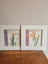 Set paula scalelta for sale  Speedwell