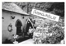Vintage old photograph for sale  NORWICH