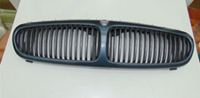 Jaguar type kühlergrill gebraucht kaufen  Schwarmstedt