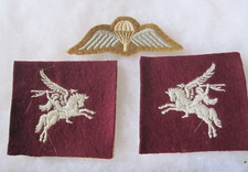 Wwii pair 1st d'occasion  Expédié en Belgium