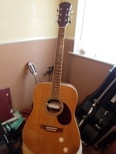 freshman electro acoustic for sale freshman electro acoustic for sale CHELTENHAM