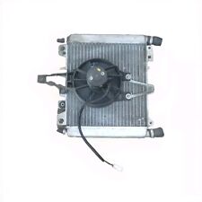 621604 radiatore ventola usato  Grosseto