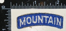 Wwii army 10th for sale  Bethesda