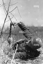 Cisaille allemande wwii d'occasion  Saint-Arnoult-en-Yvelines