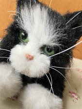 Adorable kitten fur for sale  CAMBRIDGE
