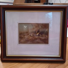 Stephen allen mounted for sale Stephen allen mounted for sale  CHESTER