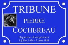 Plate rue pierre d'occasion  Expédié en Belgium
