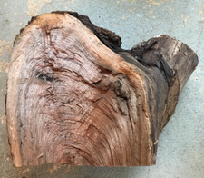 Black walnut blank for sale  Head Waters