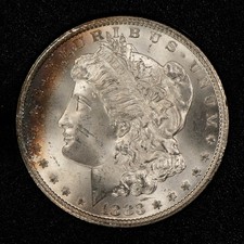 1883 morgan silver for sale  Pittsburgh