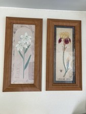 Two framed botanical for sale  FAREHAM