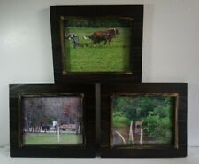 Lot 8x11 dark for sale  Neshkoro