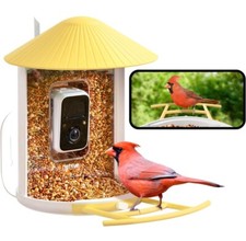 Smart bird feeder for sale  Germantown