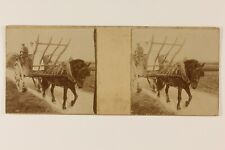 Charrette cheval snapshot d'occasion  Paris V