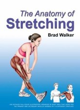 Anatomy stretching for sale  Tacoma