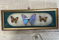 Vintage antique framed for sale Vintage antique framed for sale  GLASGOW