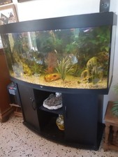 Aquarium 300l meble d'occasion  Camaret-sur-Aigues