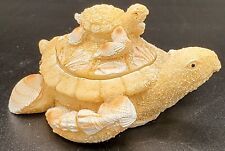 Vintage sand shell for sale  Grasonville