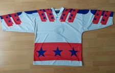 Eishockeytrikot xl gebraucht kaufen  Unterhaching