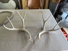 mule deer sheds for sale mule deer sheds for sale Wausau