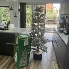 6ft christmas tree for sale 6ft christmas tree for sale MACCLESFIELD