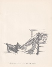 1936 scottish terrier for sale  BIDEFORD