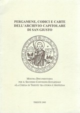 Pergamene codici carte usato  Gorizia