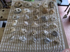 Natural hag stones for sale  BOGNOR REGIS