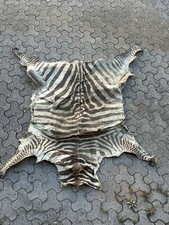 zebrafell gebraucht kaufen zebrafell gebraucht kaufen Lauf