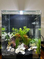 Dennerle nano cube gebraucht kaufen  Frankfurt am Main