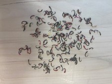 Sortiment nymphen gebraucht gebraucht kaufen  München