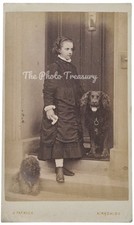 Cdv girl pet for sale  MANCHESTER