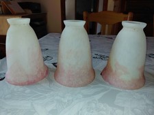 Lot tulipes pate d'occasion  Issoire