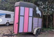 Wessex clubman horse for sale  CRAWLEY