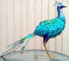 Large vibrant peacock for sale  CONGLETON