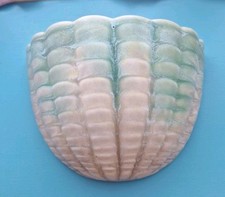 Vintage shell wall for sale  KING'S LYNN
