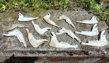echte knochen gebraucht kaufen  Obersontheim