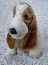 Hush puppies puppy for sale  CHELMSFORD