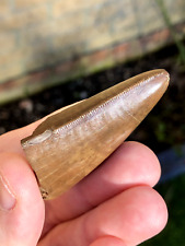 Large 2.1 inch for sale  FAREHAM